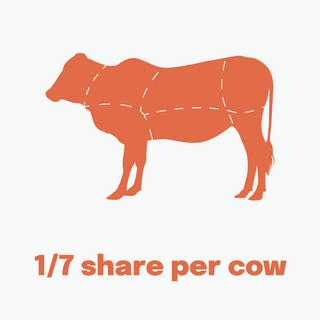 1/7th Qurbani Cow Share